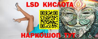 шишки Абакан