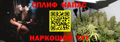 стаф Гусев