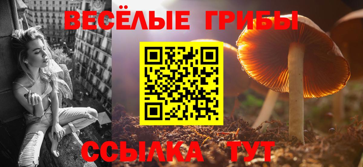 Карачаевск  Галлюциногенные грибы прущие грибы  купить  сайты  Вход с VPN 